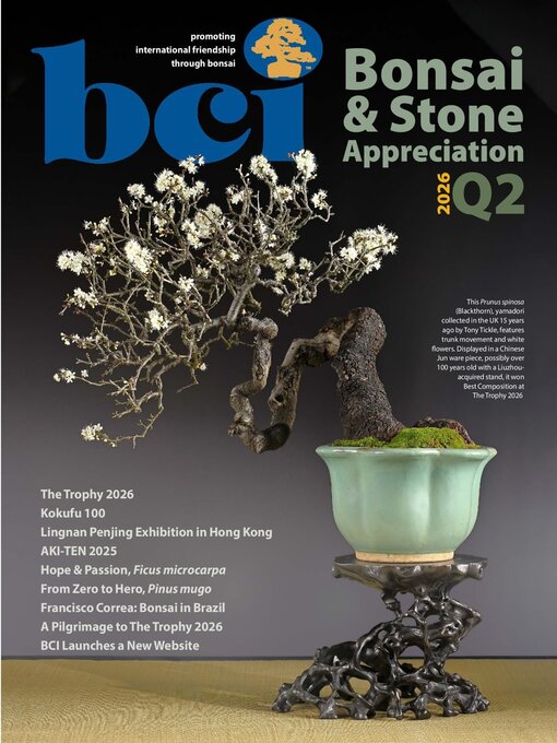 Cover image for BCI Bonsai & Stone Appreciation Magazine